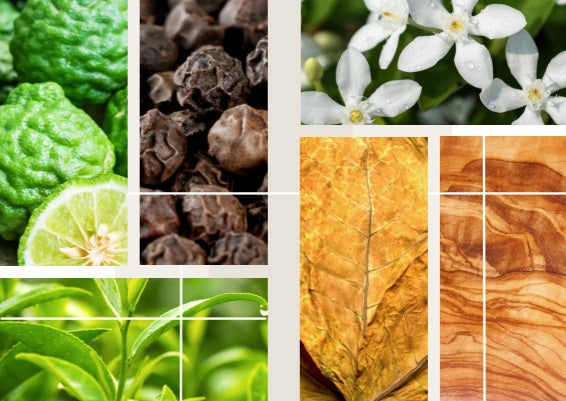 Acqua Di Taormina - Collezione Privata - Bahjat - Extrait De Parfum