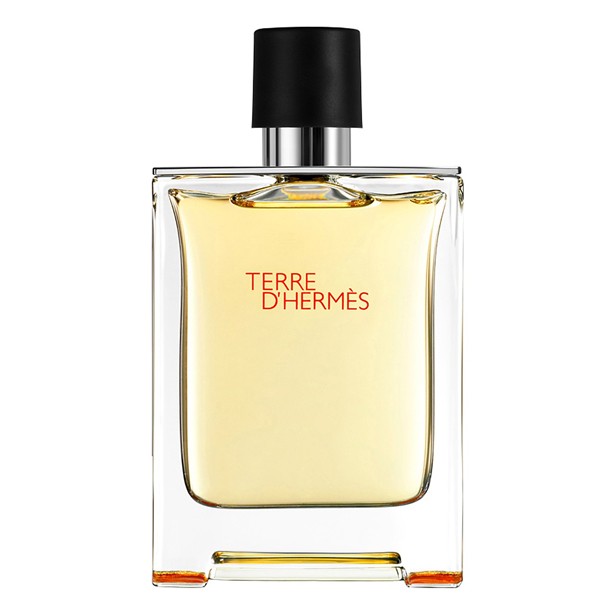 Hermès - Terre D'Ermès Eau De Toilette